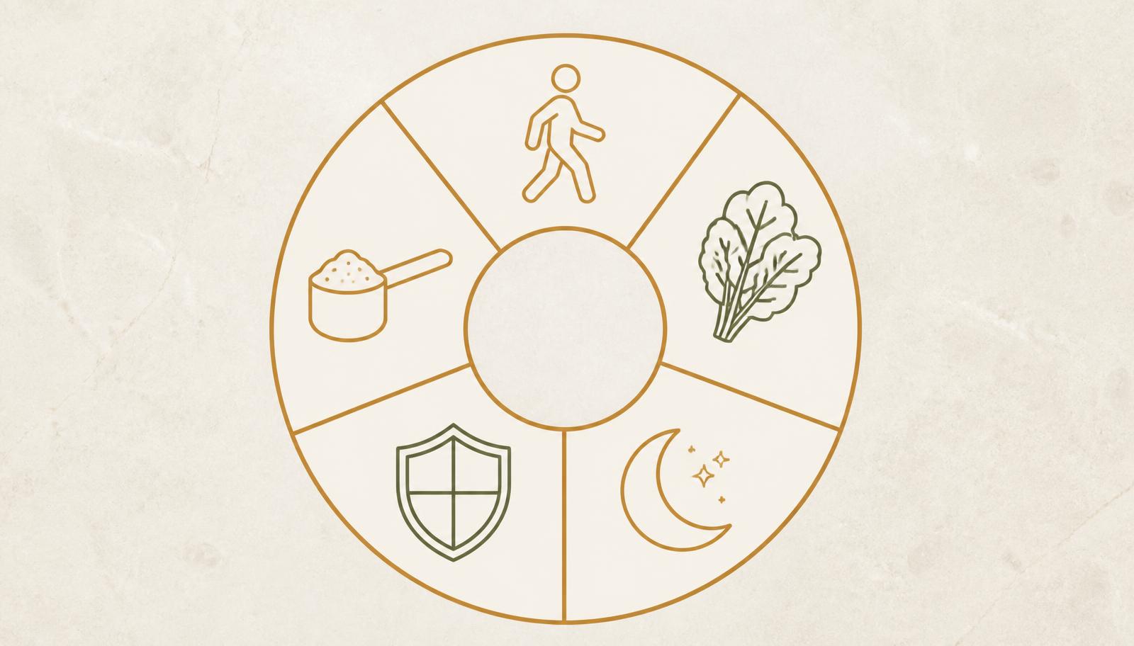Circular graphic with five segments representing movement, nutrition, recovery, protection and targeted nutritional support