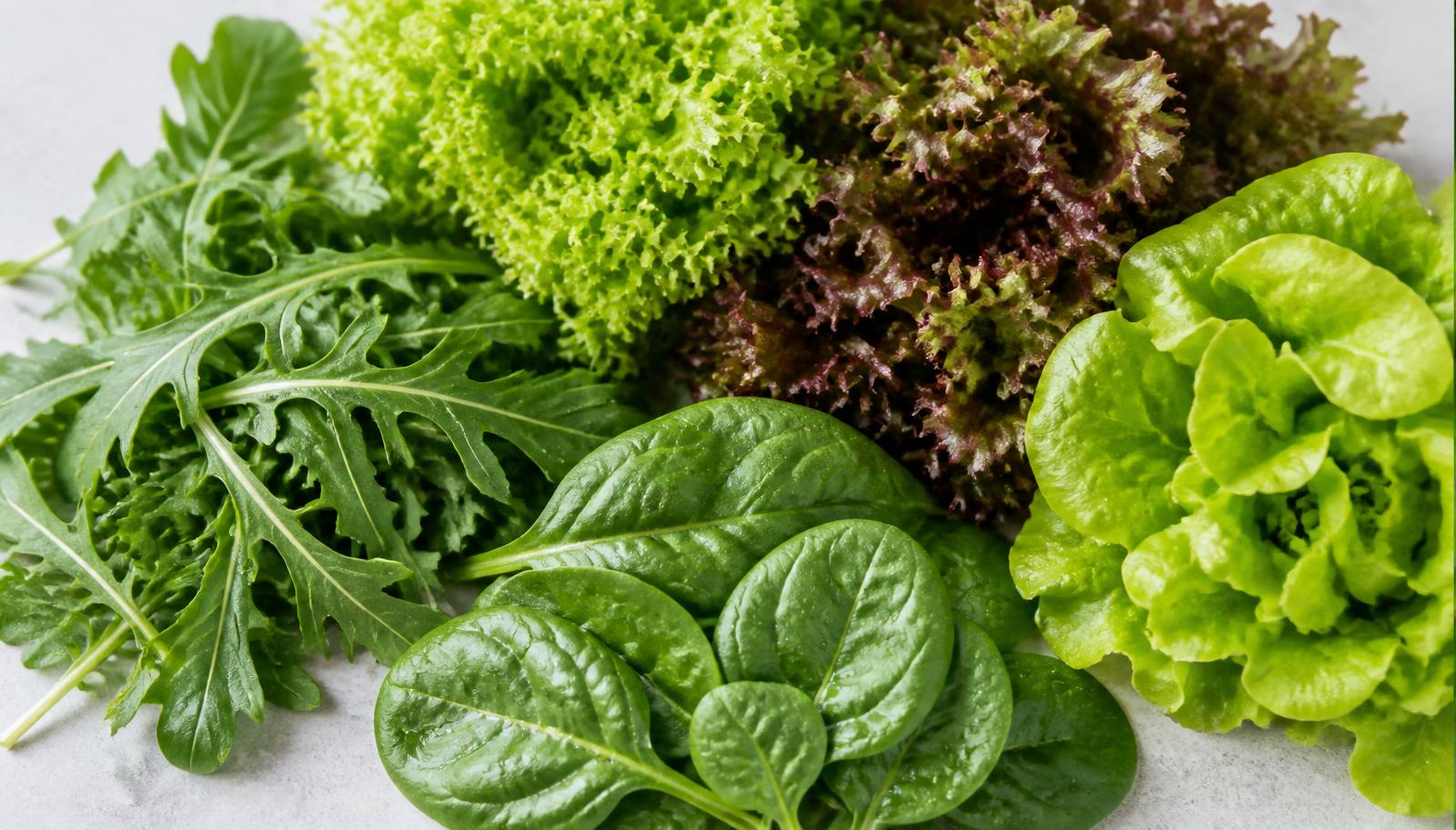 Close-up photograph of fresh arugula, baby spinach and varieties of leafy lettuce