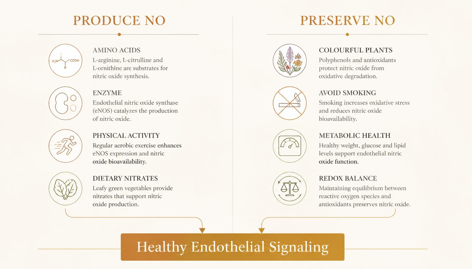 Two-column infographic contrasting ways to produce nitric oxide with ways to preserve healthy nitric oxide biology