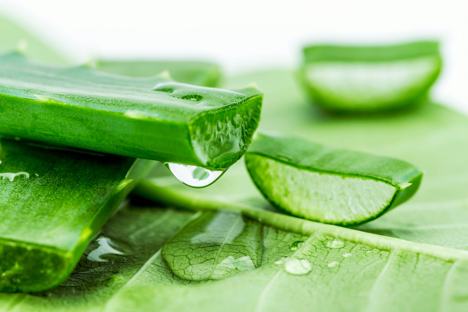 Rescue Tips for The Most Common Skin Disorders