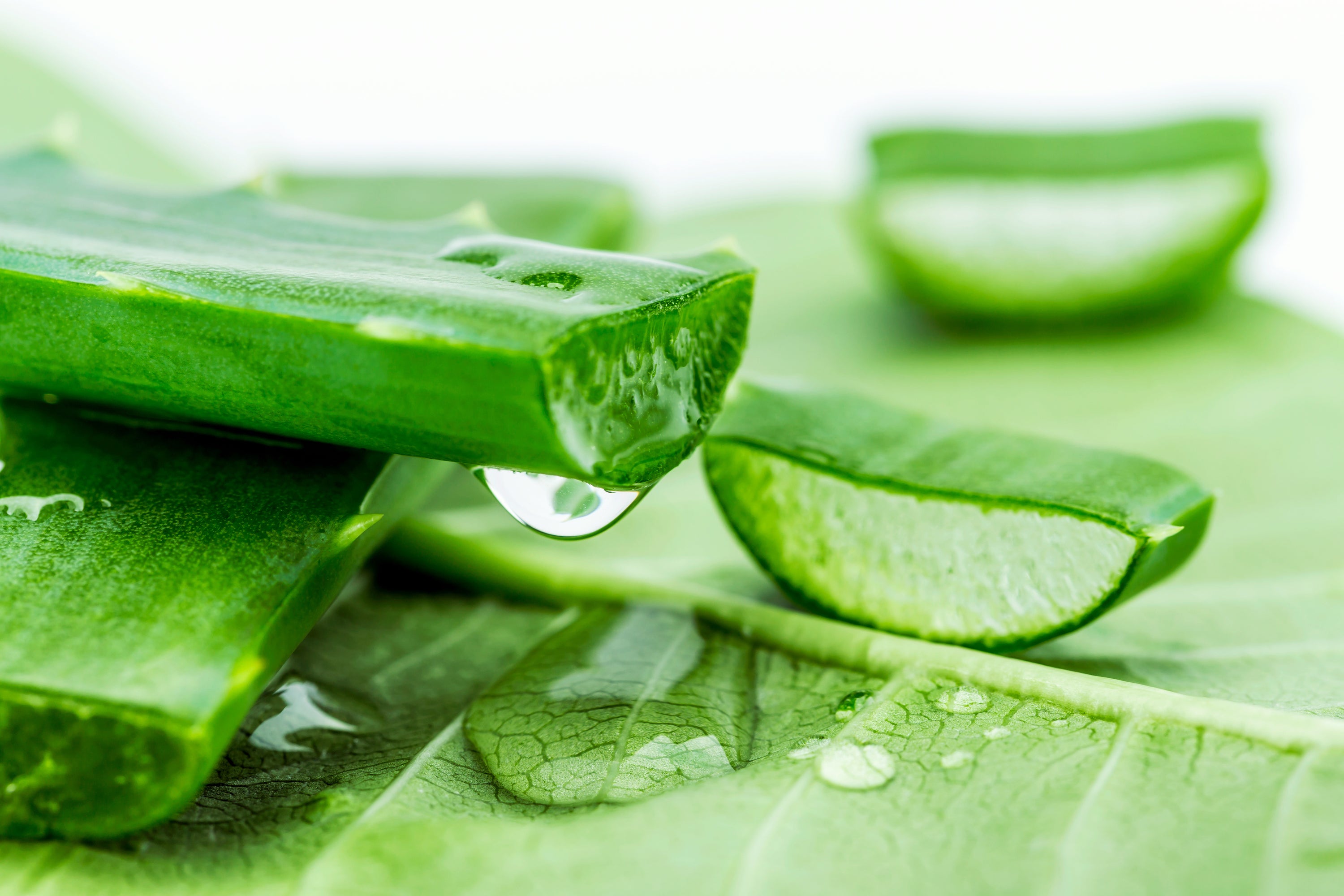 Rescue Tips for The Most Common Skin Disorders