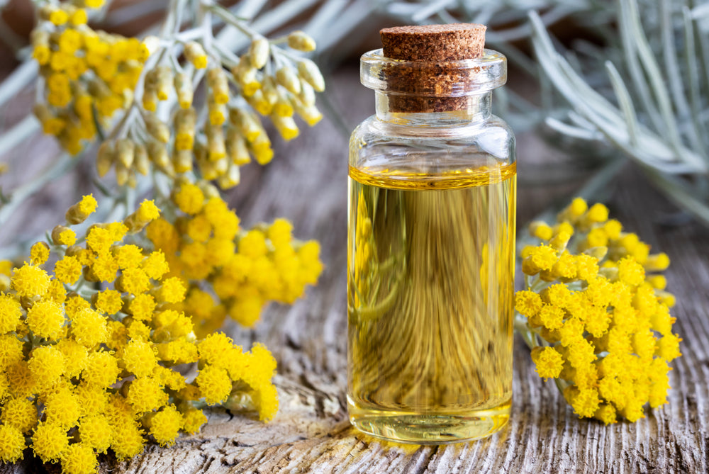 What Are the Best Plant Extracts for Skin and Body Care?