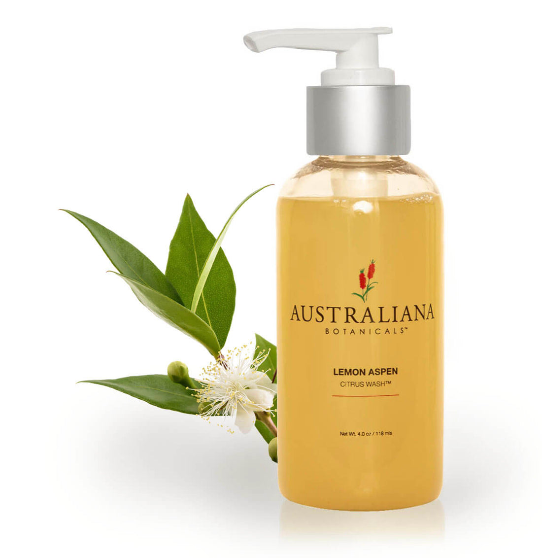Lemon Aspen Citrus Wash